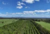 30 Banchio Road, Tolga, Qld 4882-Image