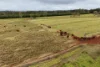30 Banchio Road, Tolga, Qld 4882-Image