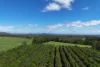 30 Banchio Road, Tolga, Qld 4882-Image
