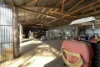30 Banchio Road, Tolga, Qld 4882-Image