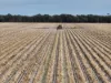 30286 CUNNINGHAM HIGHWAY, Goondiwindi, Qld 4390-Image