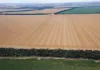 30286 CUNNINGHAM HIGHWAY, Goondiwindi, Qld 4390-Image