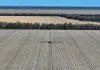 30286 CUNNINGHAM HIGHWAY, Goondiwindi, Qld 4390-Image