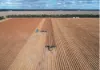 30286 CUNNINGHAM HIGHWAY, Goondiwindi, Qld 4390-Image