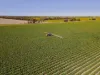 30286 CUNNINGHAM HIGHWAY, Goondiwindi, Qld 4390-Image