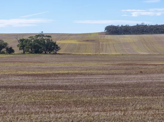 305, Goyder Road, Neales Flat, SA 5374