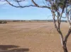 305, Goyder Road, Neales Flat, SA 5374-Image