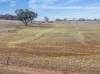 305, Goyder Road, Neales Flat, SA 5374-Image