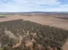 305, Goyder Road, Neales Flat, SA 5374-Image