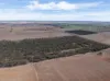 305, Goyder Road, Neales Flat, SA 5374-Image