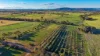 316 Newmans Lane, Tamworth, NSW 2340-Image