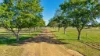 316 Newmans Lane, Tamworth, NSW 2340-Image