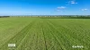 322 Haw Road, Terrick Terrick East, Vic 3573