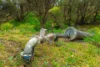 33 Remingtons Road, Wooroonden, Qld 4605-Image