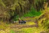 33 Remingtons Road, Wooroonden, Qld 4605-Image
