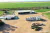3361 Coorow-Green Head Road, Eganu, WA 6515-Image