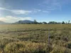 33796 Bruce Highway, Mount Surround, Qld 4809