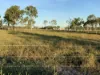 33796 Bruce Highway, Mount Surround, Qld 4809-Image