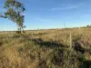 33796 Bruce Highway, Mount Surround, Qld 4809-Image