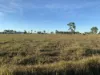 33796 Bruce Highway, Mount Surround, Qld 4809-Image