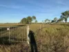 33796 Bruce Highway, Mount Surround, Qld 4809-Image