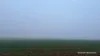 338 Jitarning Road South, Jitarning, WA 6365-Image