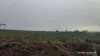 338 Jitarning Road South, Jitarning, WA 6365-Image