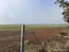 338 Jitarning Road South, Jitarning, WA 6365-Image