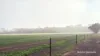 338 Jitarning Road South, Jitarning, WA 6365-Image