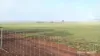 338 Jitarning Road South, Jitarning, WA 6365-Image