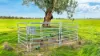 340 Old Winton Road, Tamworth, NSW 2340-Image