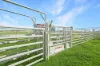 340 Old Winton Road, Tamworth, NSW 2340-Image