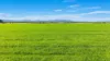 340 Old Winton Road, Tamworth, NSW 2340-Image