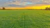 340 Old Winton Road, Tamworth, NSW 2340-Image