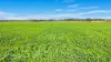 340 Old Winton Road, Tamworth, NSW 2340-Image