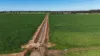 3412 Bedgerabong Road, Forbes, NSW 2871-Image