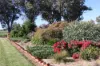 3412 Bedgerabong Road, Forbes, NSW 2871-Image