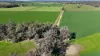 3412 Bedgerabong Road, Forbes, NSW 2871-Image