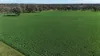 3412 Bedgerabong Road, Forbes, NSW 2871-Image
