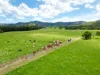 353 Pinnacle-Septimus Road, Pinnacle, Qld 4741-Image