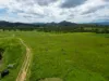 353 Pinnacle-Septimus Road, Pinnacle, Qld 4741-Image