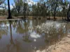3547 Moonie Highway, Ducklo QLD 4405-Image