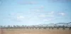 3615 Ballangarry Road, Thallon, Qld 4497-Image