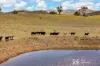 365 Erudgere Lane, Mudgee, NSW 2850-Image