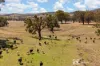365 Erudgere Lane, Mudgee, NSW 2850-Image