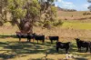 365 Erudgere Lane, Mudgee, NSW 2850-Image
