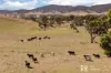 365 Erudgere Lane, Mudgee, NSW 2850-Image