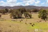 365 Erudgere Lane, Mudgee, NSW 2850-Image