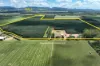 39 Yadjin Rd, Tolga, Qld 4882