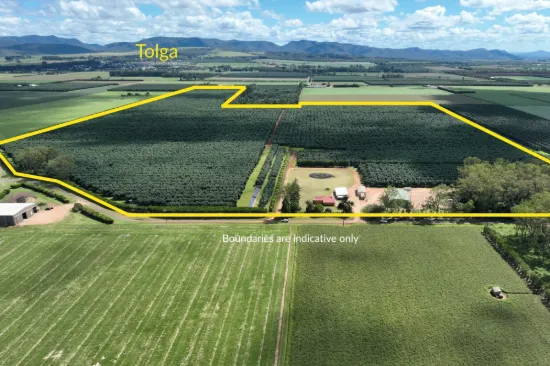 39 Yadjin Rd, Tolga, Qld 4882